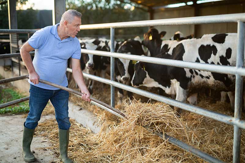 Aged care for a farmer in Australia